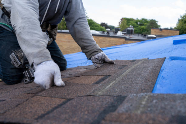 Best Metal Roofing Contractor  in St James, NC